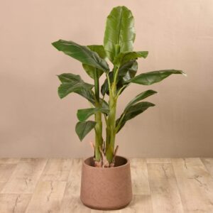 شجرة موز صناعية ارتفاع 125 سم