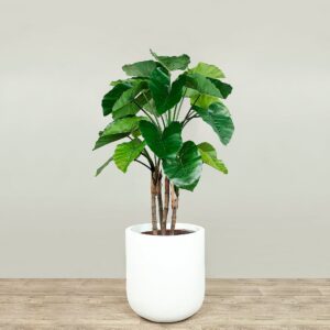 شجرة ألوكاسيا اصطناعية بارتفاع 130 سم