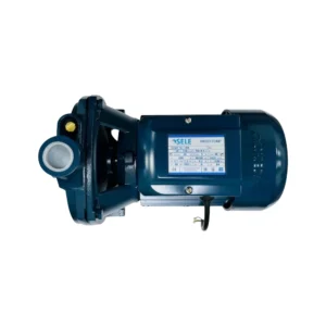 مضخة مياه ماركة سيل بقوة 1.5 حصان — طراز SL-180 — صنع في إيطاليا