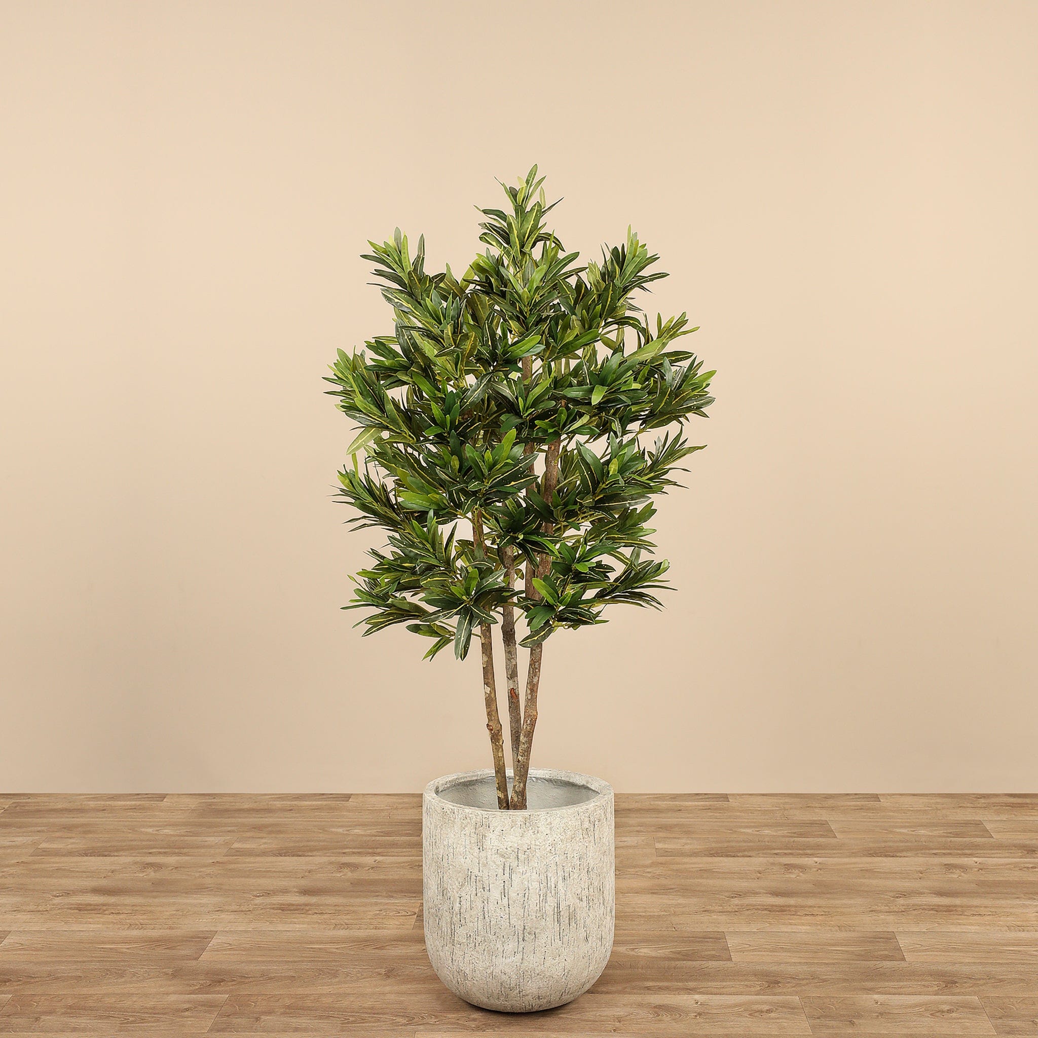 شجرة دراسينا ريفليكسا الاصطناعية بارتفاع 150 سم