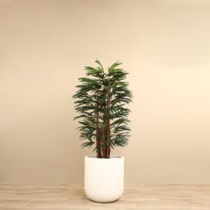 نخلة رافيس اصطناعية بارتفاع 150 سم