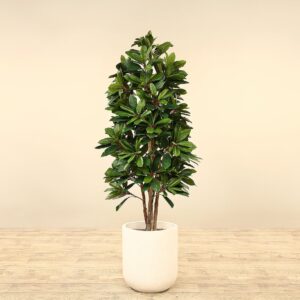 شجرة شيفليرا صناعية بارتفاع 150 سم