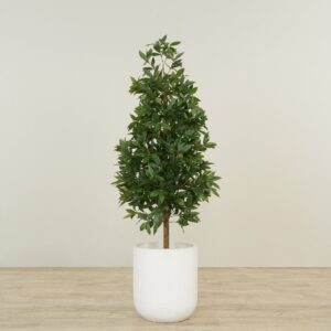 شجرة غار صناعية بارتفاع 150 سم