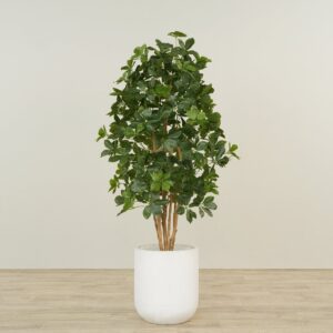 شجرة شيفليرا اصطناعية بارتفاع 150 سم