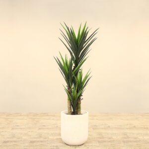 يوكا صناعي بارتفاع 150 سم