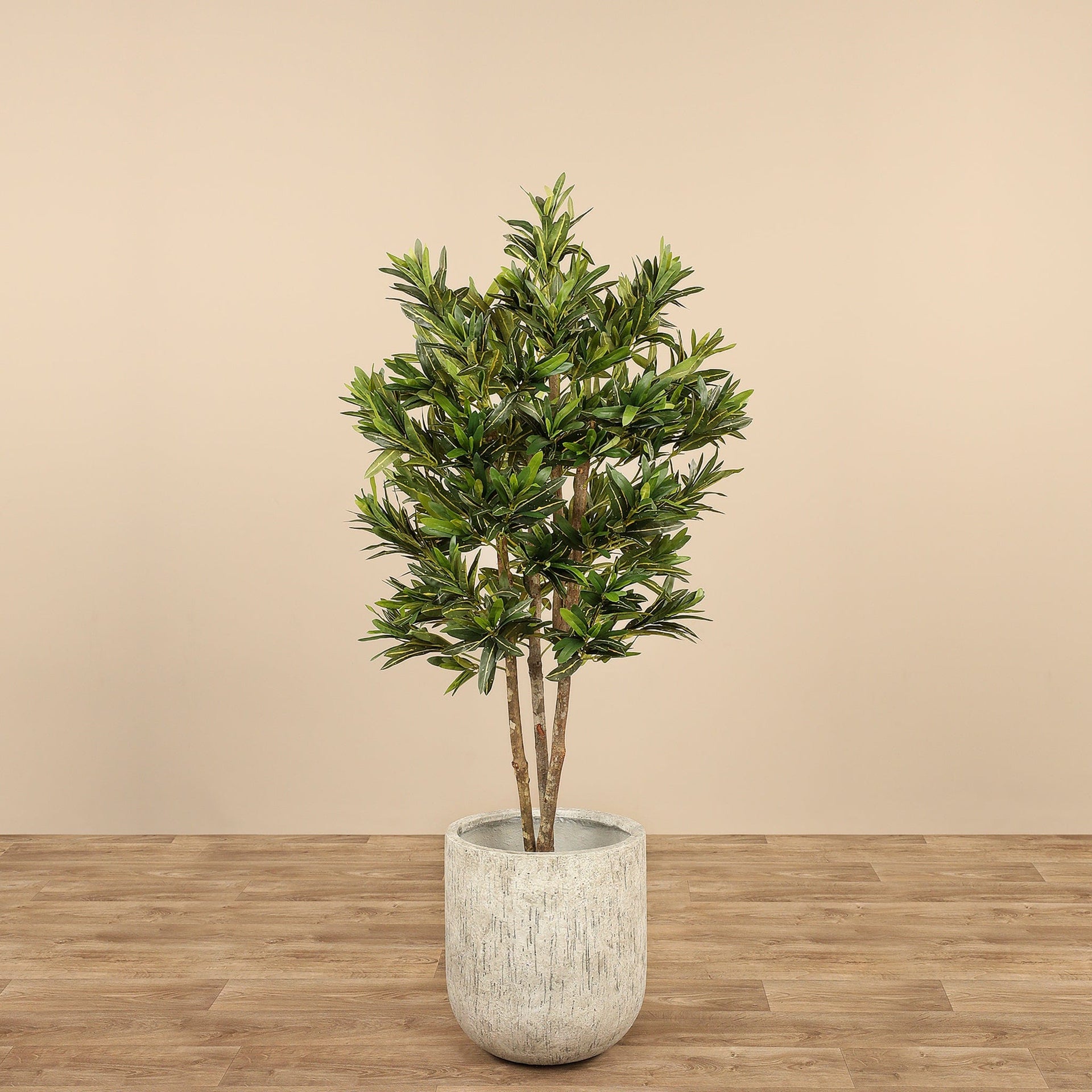 شجرة دراسينا ريفليكسا الاصطناعية بارتفاع 150 سم