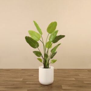 شجرة موز اصطناعية ارتفاع 150 سم