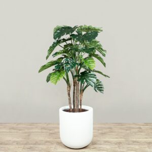 نبات مونستيرا صناعي بارتفاع 165 سم