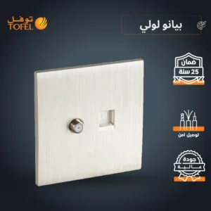 فيش لمنفذ كمبيوتر مع منفذ دش — لون بيانو (لولي)