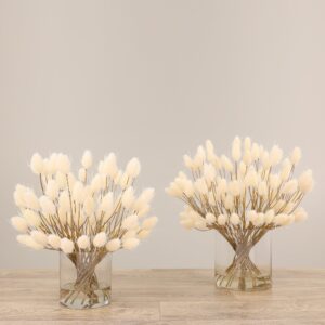 ترتيب ذيل الأرنب الاصطناعي في فازة زجاجية