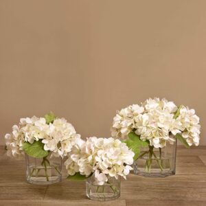 باقة هيدرانجيا في مزهرية زجاجية