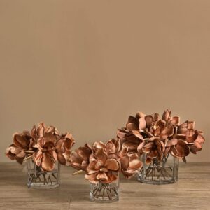 ماغنوليا مخملية في مزهرية زجاجية