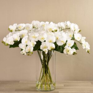 باقة أزهار أوركيد في مزهرية زجاجية