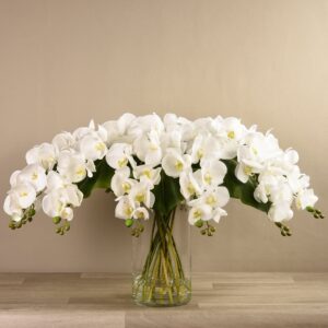 باقة أوركيد في مزهرية زجاجية