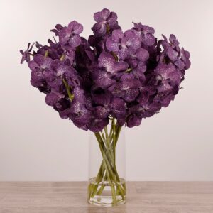 فازة زجاجية مزينة بزهور الفاندا الاصطناعية