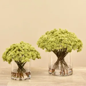 نبتة سيدوم صناعية مرتبة في مزهرية زجاجية