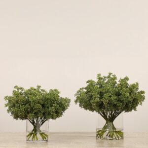 باقة سيدوم في مزهرية زجاجية