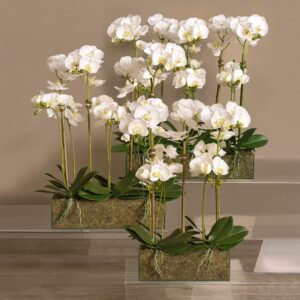 باقة أوركيد في مزهرية زجاجية