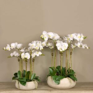 واحة الفواكه الاصطناعية في إناء — لون كريم