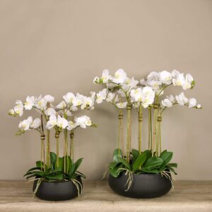 واحة فواكه صناعية بوعاء أسود