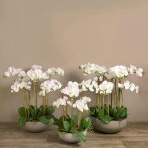 أوركيد صناعي أنيق