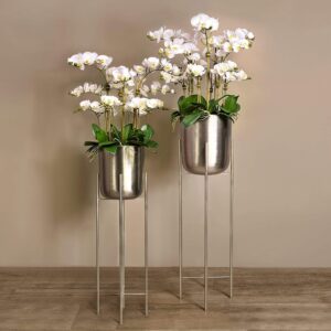 مجموعة أوركيد عصرية