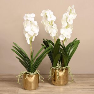 مجموعة زهور الفاندا الاصطناعية