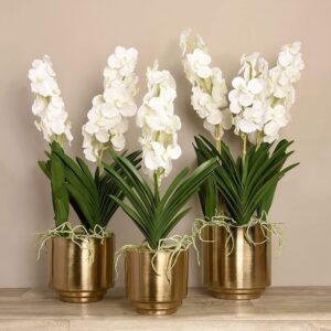 مجموعة أزهار فاندا الصناعية