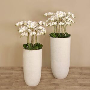 مجموعة أوركيد عصرية