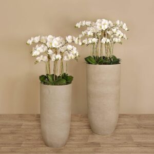 مجموعة أوركيد عصرية