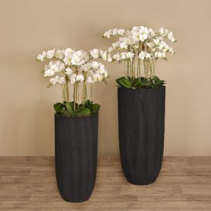 مجموعة أوركيد عصرية