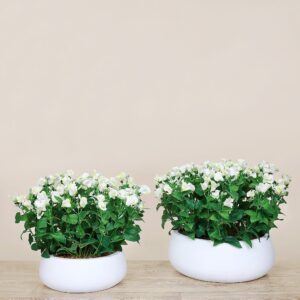 باقة زهور تورينيا الاصطناعية