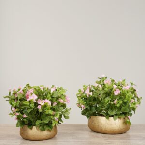 باقة بتونيا اصطناعية