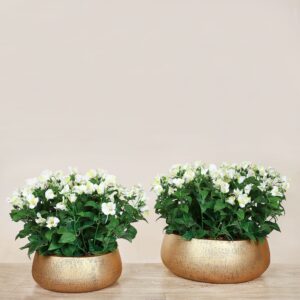 تنسيق تورينيا اصطناعي