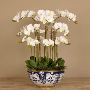 باقة من زهور الأوركيد في مزهرية خزفية