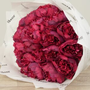 باقة فاوانيا صناعية