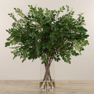 ترتيب بوكسوود صناعي في فازة زجاجية