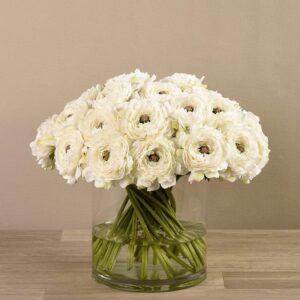 أزهار الحوذان في مزهرية زجاجية