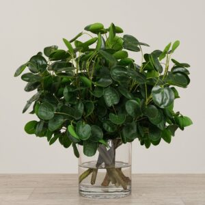 تنسيق نبتة المال الاصطناعية في مزهرية زجاجية