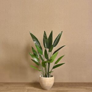 نبات عصفور الجنة الصناعي