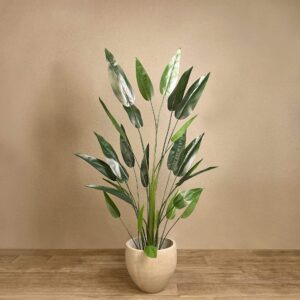 نبات عصفور الجنة الاصطناعي