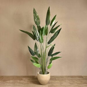 نبات عصفور الجنة الصناعي