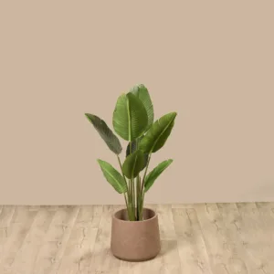 شجرة عصفور الجنة الصناعية