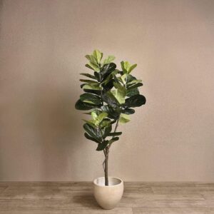 شجرة فيكس ليراتا الاصطناعية