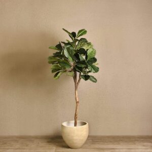 شجرة فيكس ليراتا اصطناعية