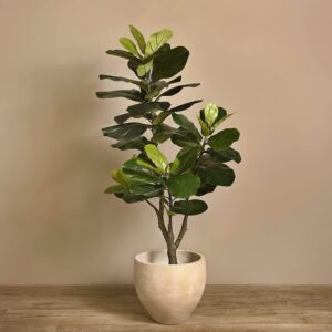 شجرة فيكس ليراتا اصطناعية