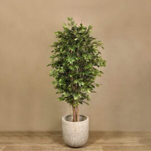 شجرة بنجامين اصطناعية