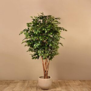 شجرة فيكس بنجامين صناعية