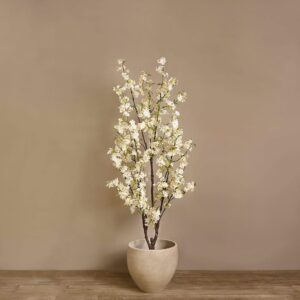 عناوين مختصرة