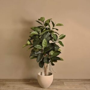 شجرة مطاطية صناعية